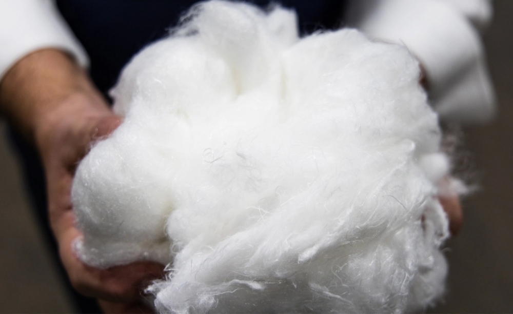 Hands holding fiber