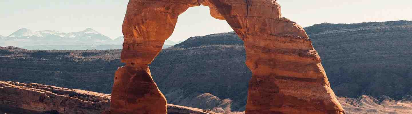 bottom-pane-bg